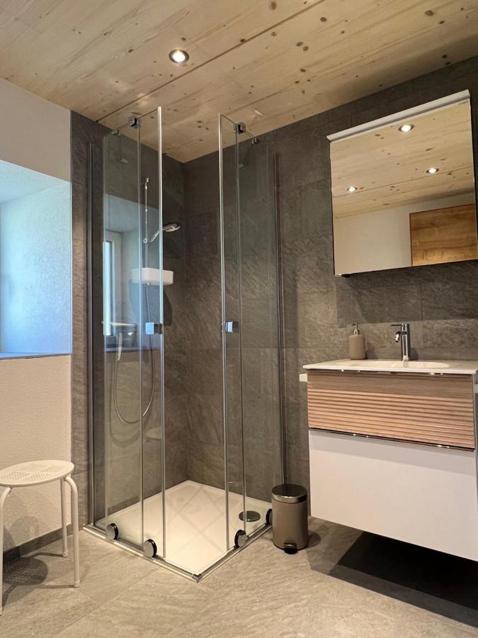 Capricorn **** Apartmán Saas-Grund