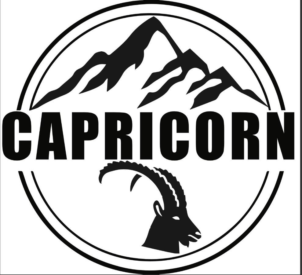 Capricorn **** Apartmán Saas-Grund